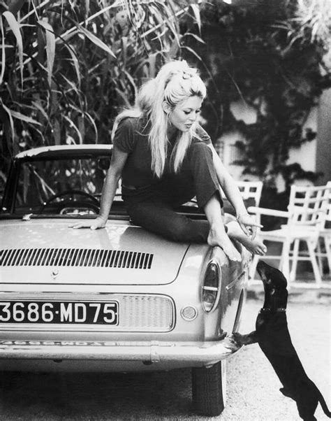Brigitte Bardot Mit Dackel 1962 Bild Kaufen Verkaufen