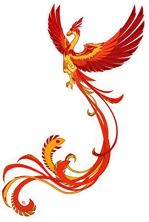 collection  phoenix tattoos png pluspng