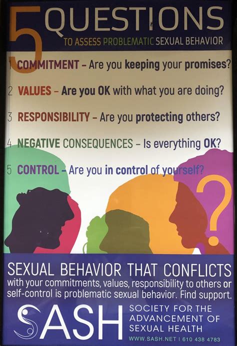a useful way anyone can assess problematic sexual behavior bill herring lcsw csat