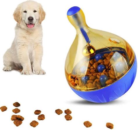 Biar Tetap Aktif 10 Jenis Mainan Untuk Anjing Dailysia