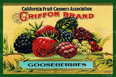 California Gooseberries 1915 020 Vintage Food Labels Vintage