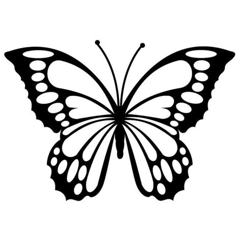 Pin by Sarah Carte-Ertley on ASVG | Butterflies svg, Beautiful