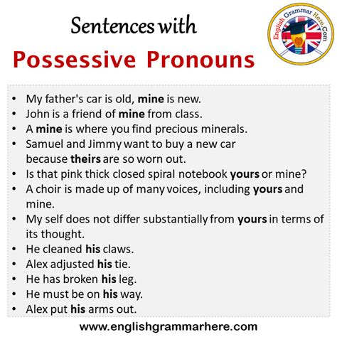 Examples Of Possessive Pronouns In Sentences Pronouns Hot Sex Picture