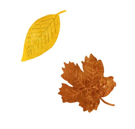 This leaves falling autumn graphic is part of our extensive collection of stamps, glitters, icons, stickers and cliparts. Fall Autumn Sticker by Lara Paulussen for iOS & Android | GIPHY