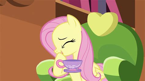 Image Fluttershy Cant Hold In Her Laughter S5e7png My Little Pony
