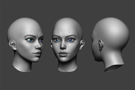 woman head 2 3d model obj ztl 1 3d anatomy best 3d printer celebrity caricatures face