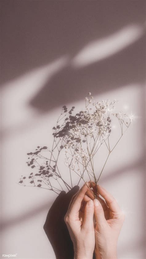 34 Aesthetic Pics Of Girls With Flowers IwannaFile