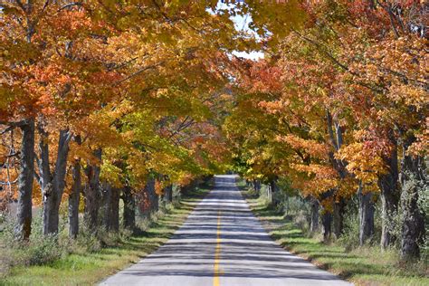 Fall Colors In Northern Michigan Are The Best Around