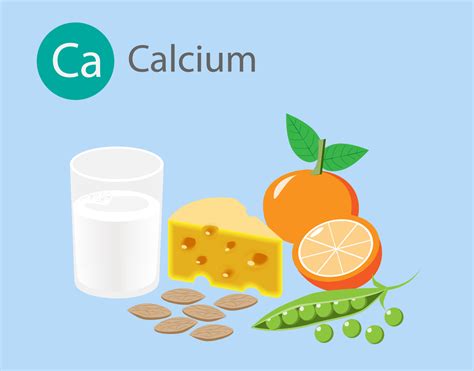 Calcium Vector Art Icons And Graphics For Free Download