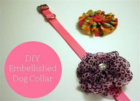 4 Simple Steps To A Super Chic Diy Dog Collar For Chic Sake