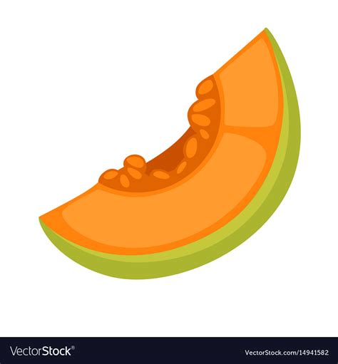 Slice Of Fresh Melon Royalty Free Vector Image