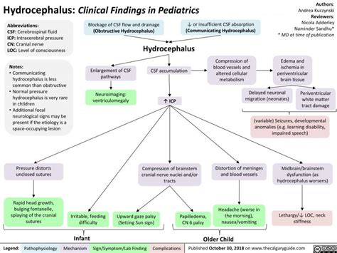 Hydrocephalus Clinical Findings In Pediatrics Calgary Guide