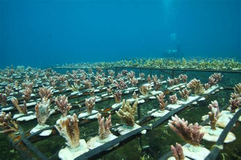 The chart is intuitive yet powerful, offering users multiple chart types including candlesticks, area, lines, bars and heikin ashi. This Incubator Programme Teaches Malaysian Fishermen To ...