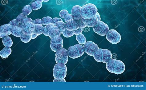 Diplococcus Cartoons Illustrations And Vector Stock Images 182
