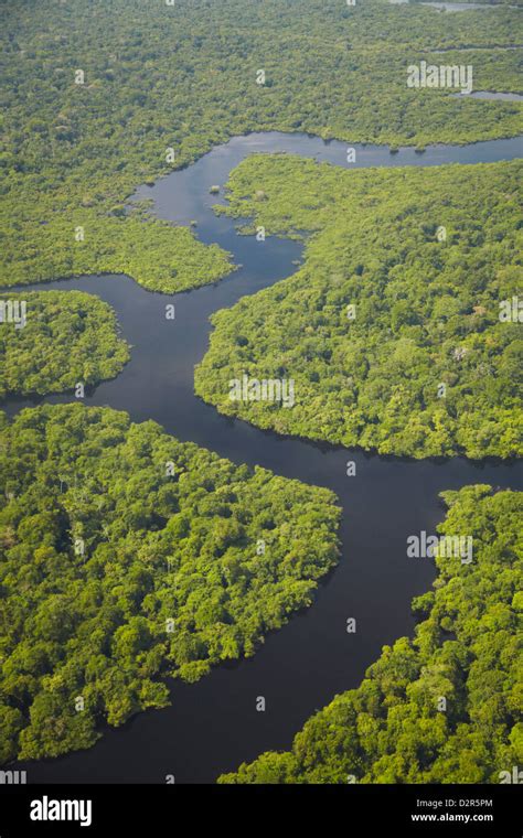 Aerial View Of Amazon Rainforest And Tributary Of The Rio Negro Manaus