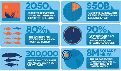 Solutions Of Overfishing Overfishing