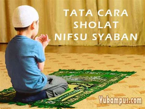 Benarkah pada malam nisfu sya'ban punya keistimewaan dari bulan lainnya? Niat dan Tata Cara Sholat Nifsu Sya'ban Sesuai Sunnah ...