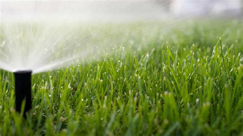 Maybe you would like to learn more about one of these? Lawn Watering - What You Need to Know About Hard & Soft Water - LawnStar