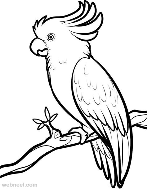 Outline Drawings Of Birds Free Download On Clipartmag