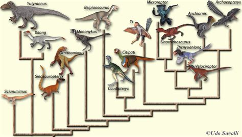 Bio113 Bird Origins