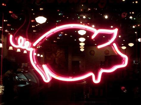 Neon Pig By Mag3737 Via Flickr Pig Lovers Little Pigs Neon