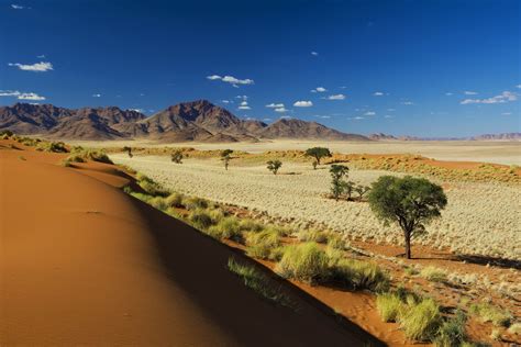 Namibrand Nature Reserve Travel Namibia Lonely Planet