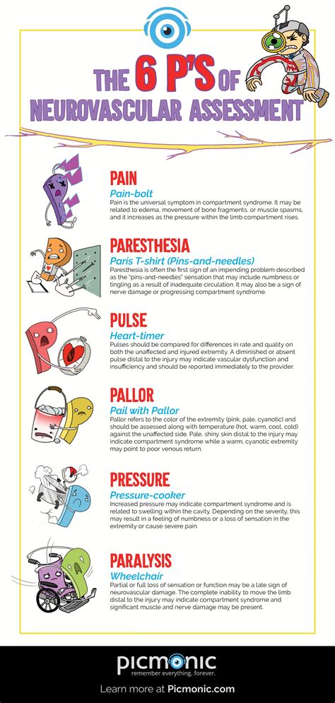 Infographic How To Study Neurovascular Assessment 6 Ps