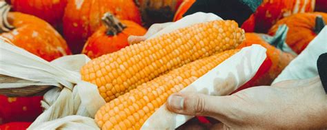 On the basis of directives established on a national level and based on the regional diagnosis, a number of important projects and action. CropLife Asia Supports ASEAN, USPTO-led Conference in KL ...