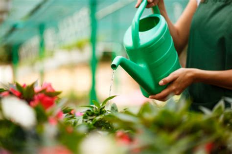 Young Beautiful Florist Watering Flowers Free Photo