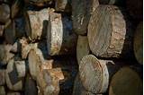 Types Of Wood Good For Firewood Images