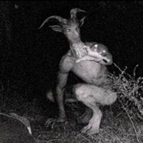 All The Sightings And History Of The Goatman Monster Fuzz Podcast