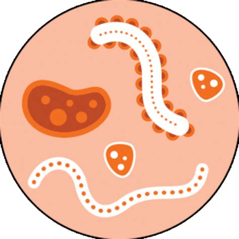 Syphilis Signs And Symptoms