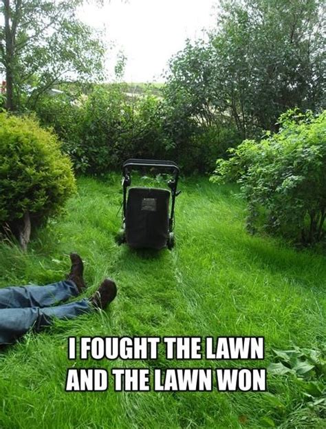 Mowing Grass In The Hot Sun Lawn Care Humor Gardening Memes