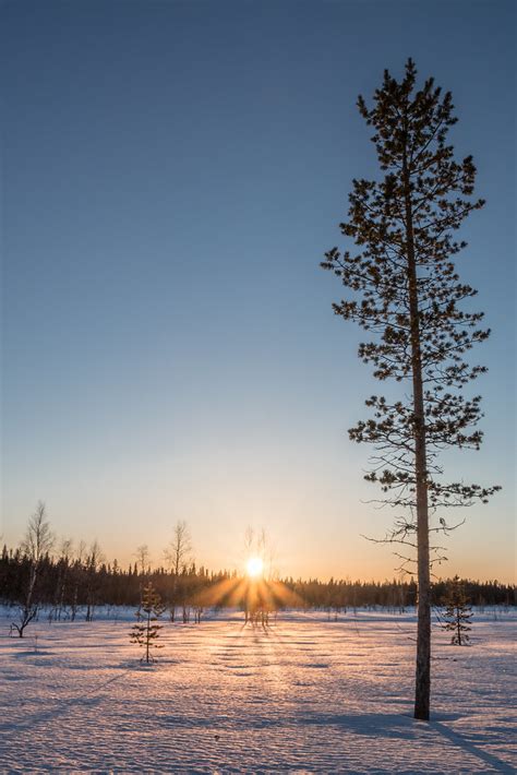 Lapland Sunset Markus Trienke Flickr