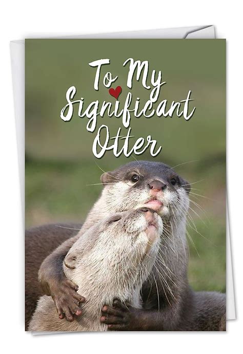 c5528bdg significant otters funny birthday greeting card featuring sweet otters showing love to