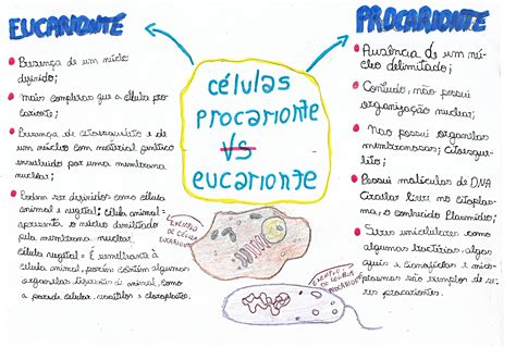 Mapa Mental CÉlula Eucarionte E Procarionte Biologia Celular