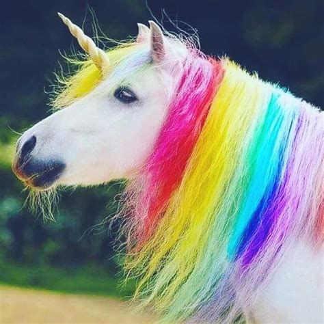A White Unicorn With Multicolored Hair Standing In Front Of Some Trees