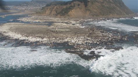 Chile Erdbeben Hebt Küstengebiete Aus Dem Wasser Der Spiegel