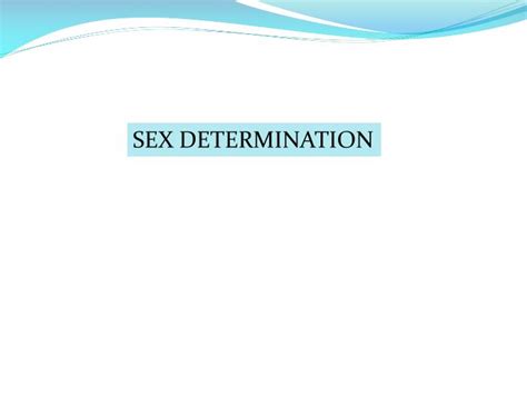Ppt Sex Determination Powerpoint Presentation Free Download Id850134