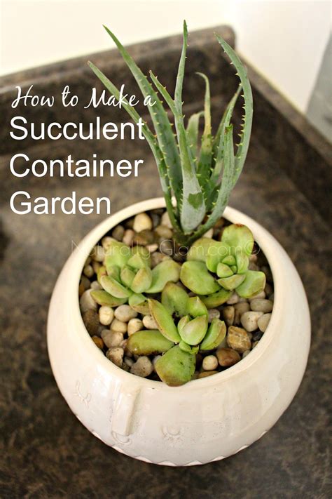 How To Make A Succulent Container Garden Naturally Glam Jonna Scott