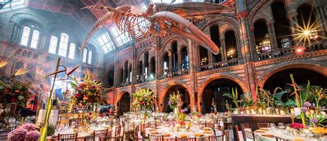 Natural History Museum Launches 3d Virtual Tour Technology Natural