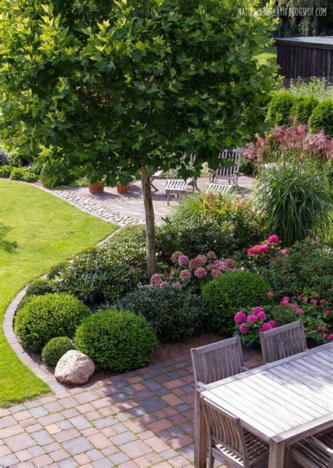 33 Best Trees For Small Gardens That Wont Limit Your Outdoor Space