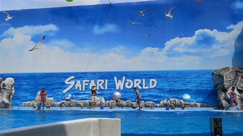 Safari World Dolphin Show Youtube