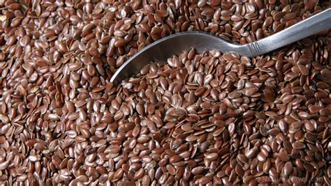 Flaxseed Sources Health Benefits Nutrients Uses And Constituents At
