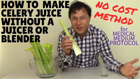 celery juice juicer blender without