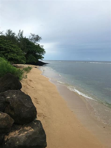 Anini Beach Photograph By Shelby Novell Fine Art America