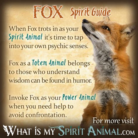 Fox Symbolism And Meaning Animal Totem Spirit Guides Spirit Animal Fox