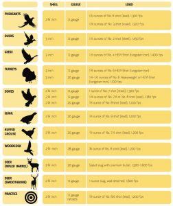 Shotgun Shell Sizes Comparison Chart And Commonly Used Terms