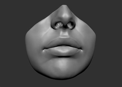 3d Beaty Lips Model Zbrush Anatomy Lips Drawing Anatomy Sculpture