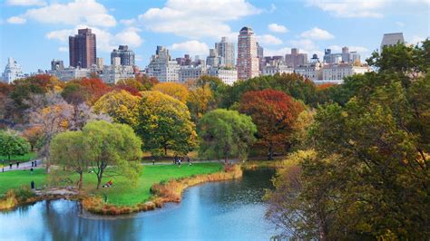The Ultimate Guide to Central Park - Platinum Properties